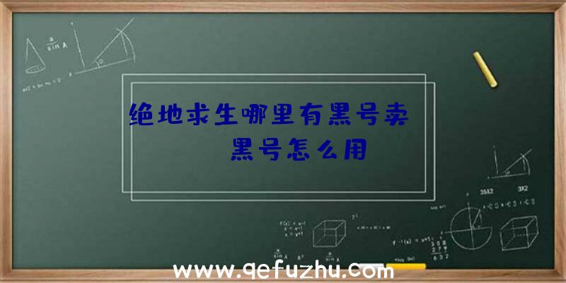 「绝地求生哪里有黑号卖」|pubg黑号怎么用